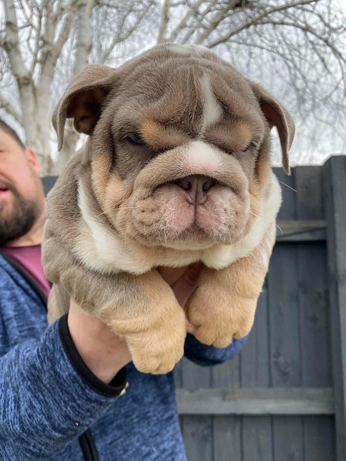 12 weeks old